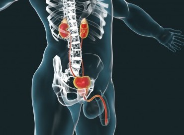 Üretral Sendrom Nedir?