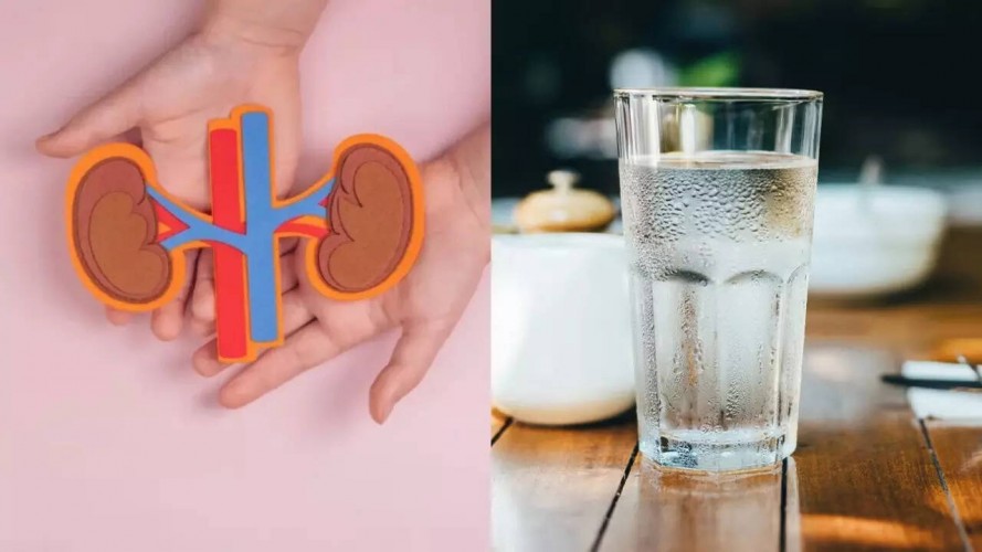 Böbrek sağlığı için su tüketiminin önemi ve doğru miktar