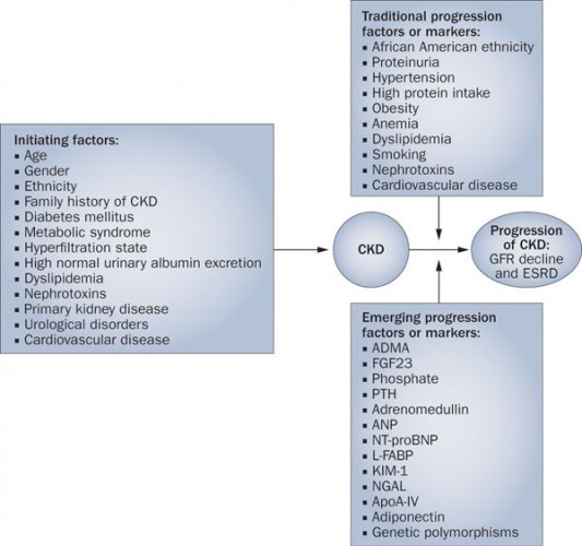 Ürolojik hastalıklar ve genetik faktörlerin rolü